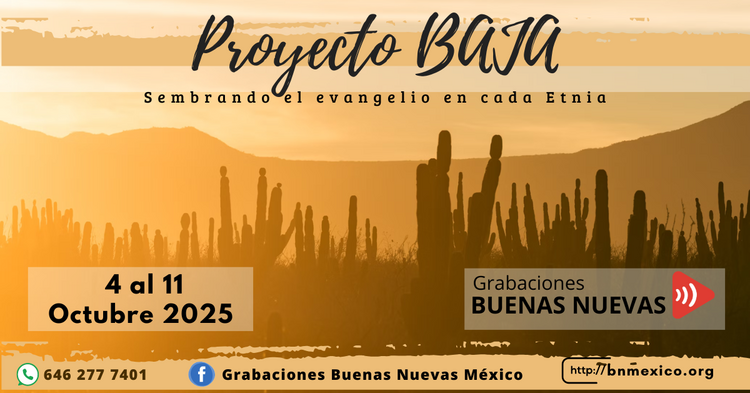Proyecto Baja 2025