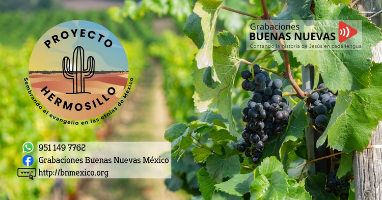 Hermosillo Project