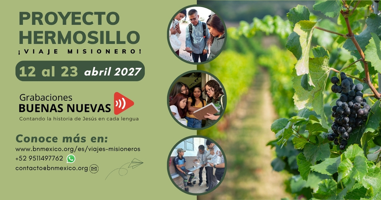 Proyecto Hmo 2027