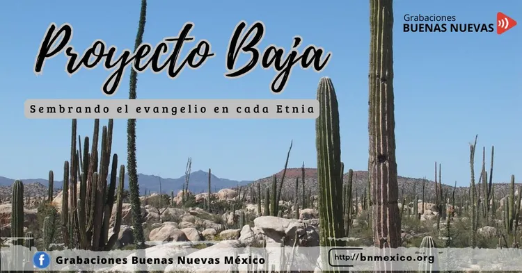 Baja Project