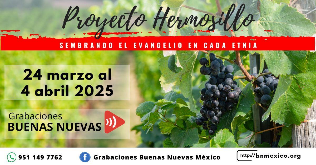 Proy Hermosillo 2025